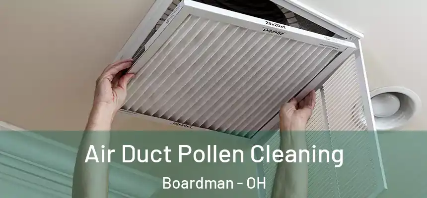  Air Duct Pollen Cleaning Boardman - OH