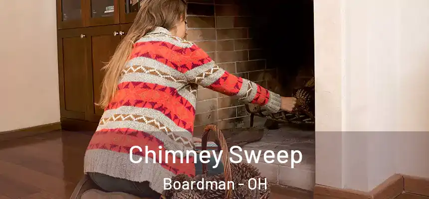 Chimney Sweep Boardman - OH
