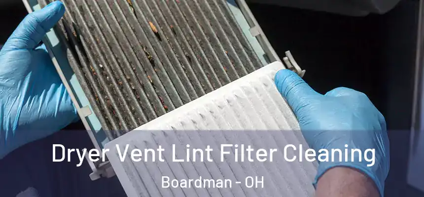 Dryer Vent Lint Filter Cleaning Boardman - OH