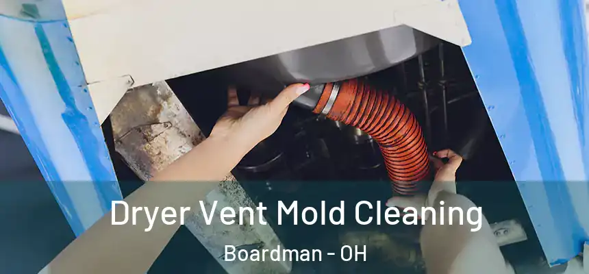  Dryer Vent Mold Cleaning Boardman - OH