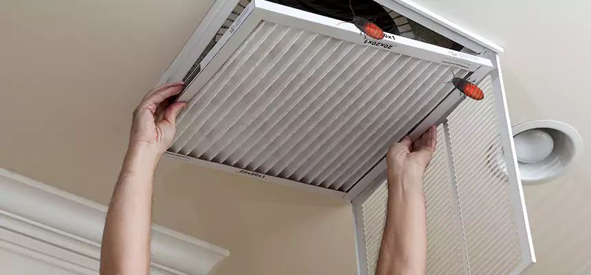 Preventive Cockroach-Proofing for Ducts in Boardman