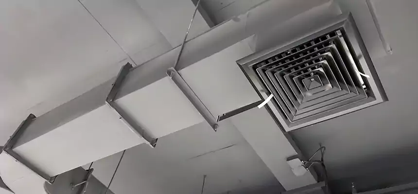 Restorative Allergy Relief Vent Cleaning – Coil, Blower & Housing Detail in Boardman