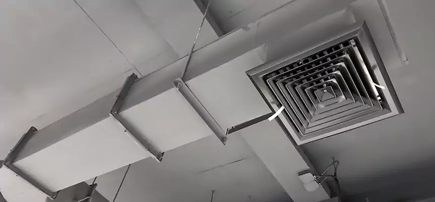 Our Pest Removal From Ducts Services in Boardman, OH