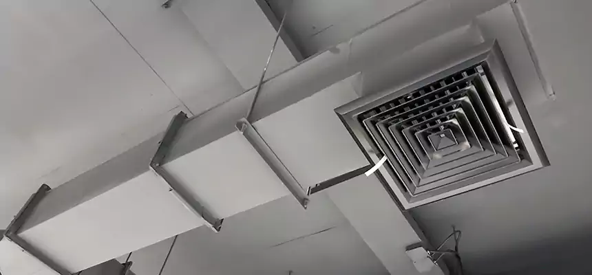 Our Rodent Droppings In Vents Services in Boardman, OH