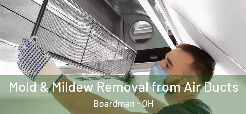  Mold & Mildew Removal from Air Ducts Boardman - OH
