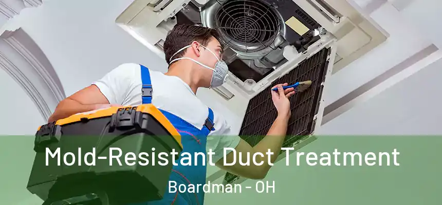  Mold-Resistant Duct Treatment Boardman - OH