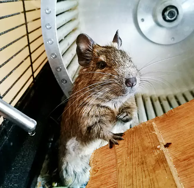 Why Homeowners & Businesses Trust Us Boardman, OH?